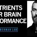 Andrew huberman supplements brain fog