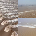 when is low tide at holden beach today