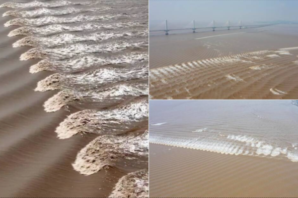 when is low tide at holden beach today