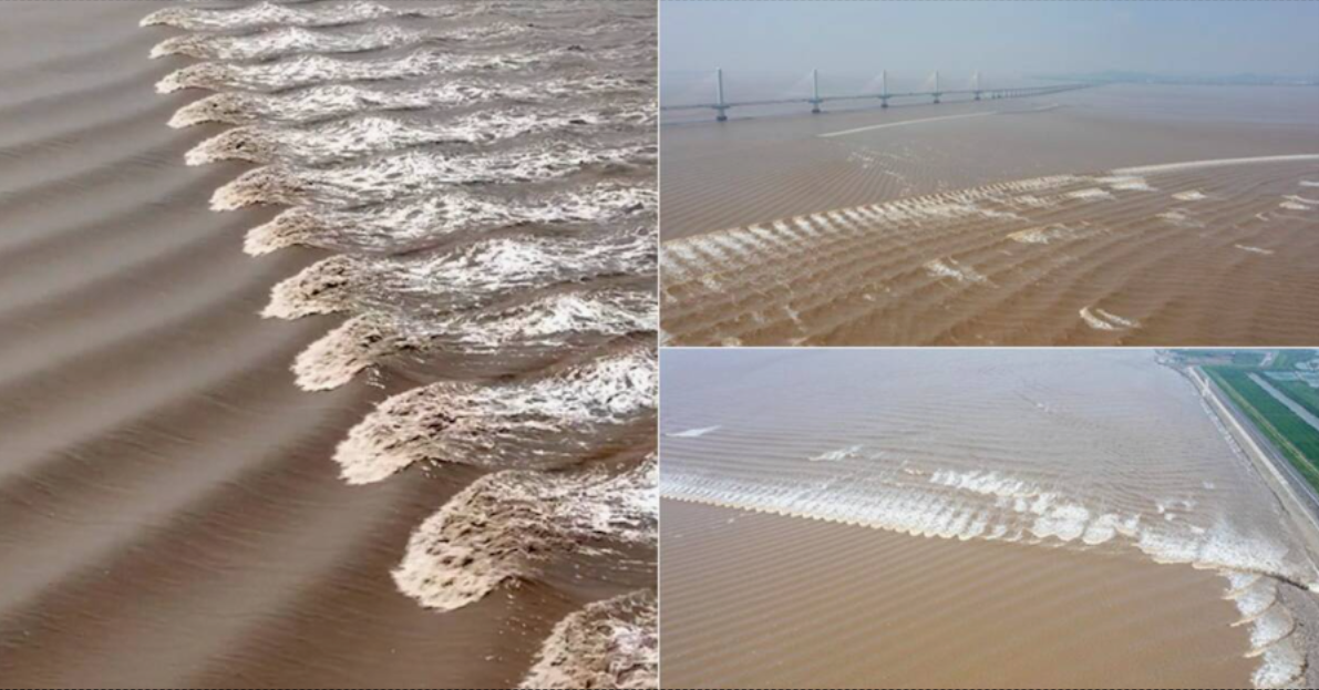 when is low tide at holden beach today