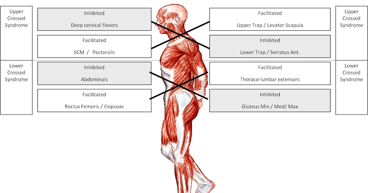 What lifestyle changes help postural orthostatic tachycardia syndrome