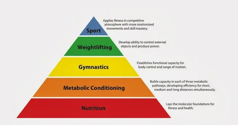 Where on the physical activity pyramid do lifestyle activities belong